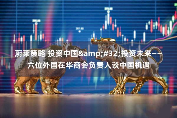 蔚莱策略 投资中国 投资未来——六位外国在华商会负责人谈中国机遇
