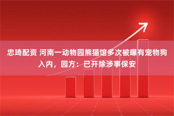 忠琦配资 河南一动物园熊猫馆多次被曝有宠物狗入内，园方：已开除涉事保安