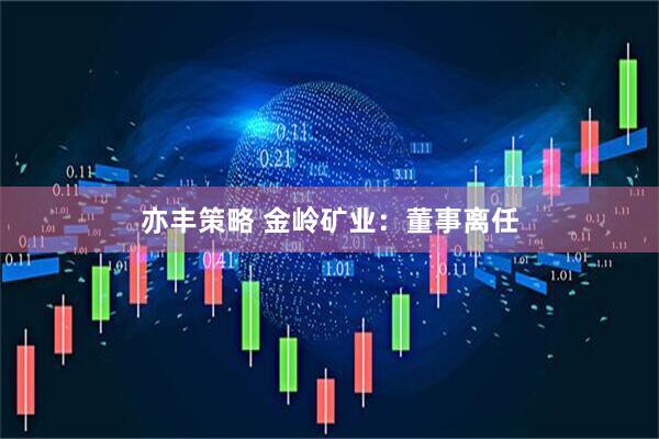 亦丰策略 金岭矿业：董事离任